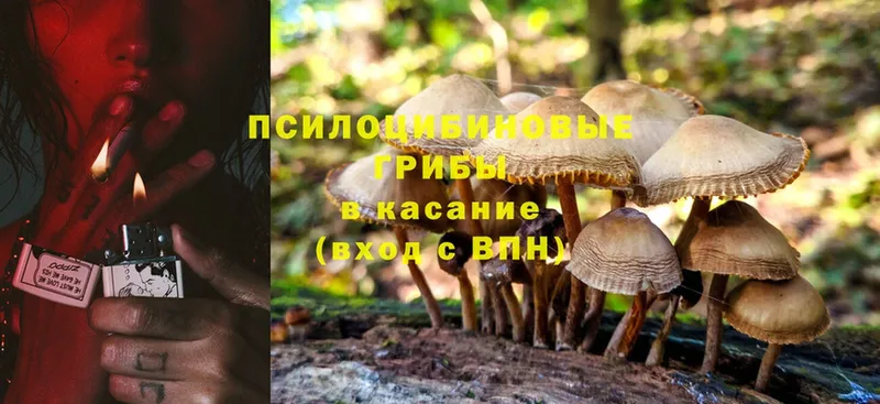 Галлюциногенные грибы Magic Shrooms  Беслан 